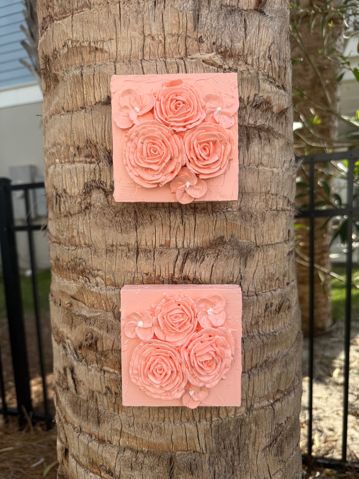 Rosy