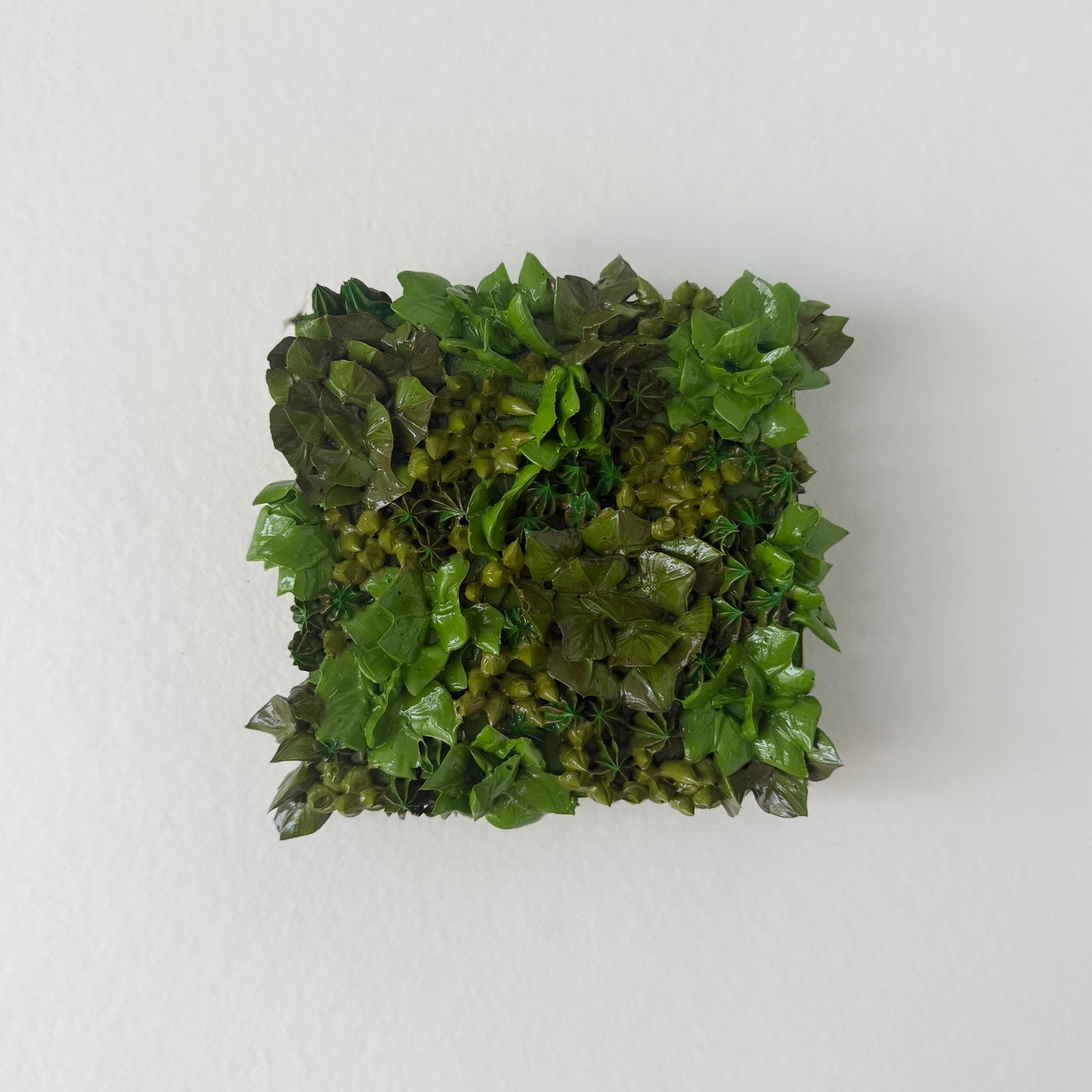 Pocket Forest