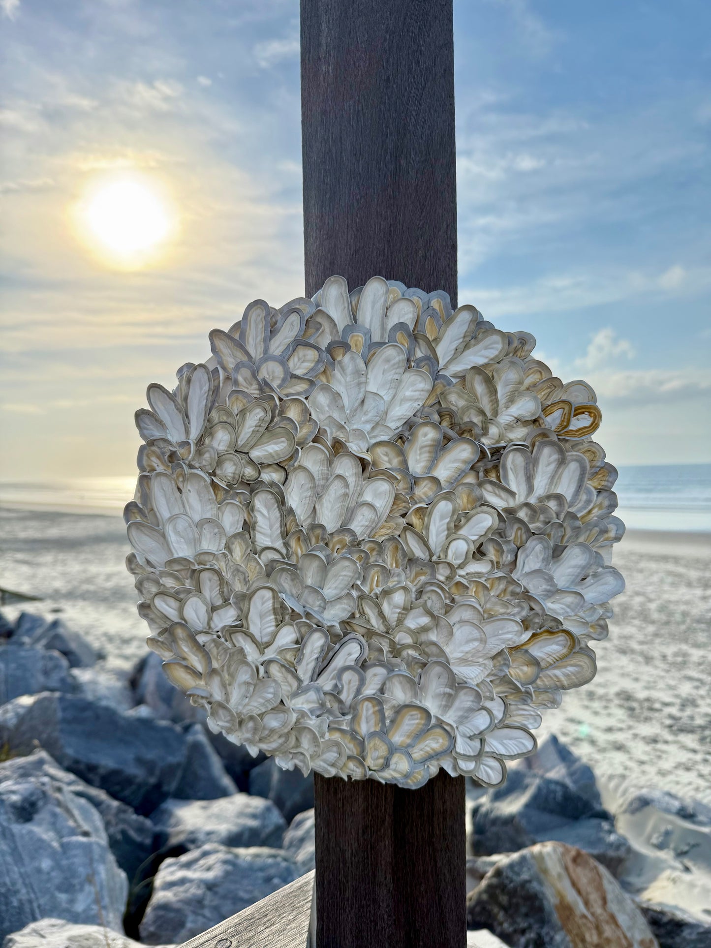 Oyster Bed