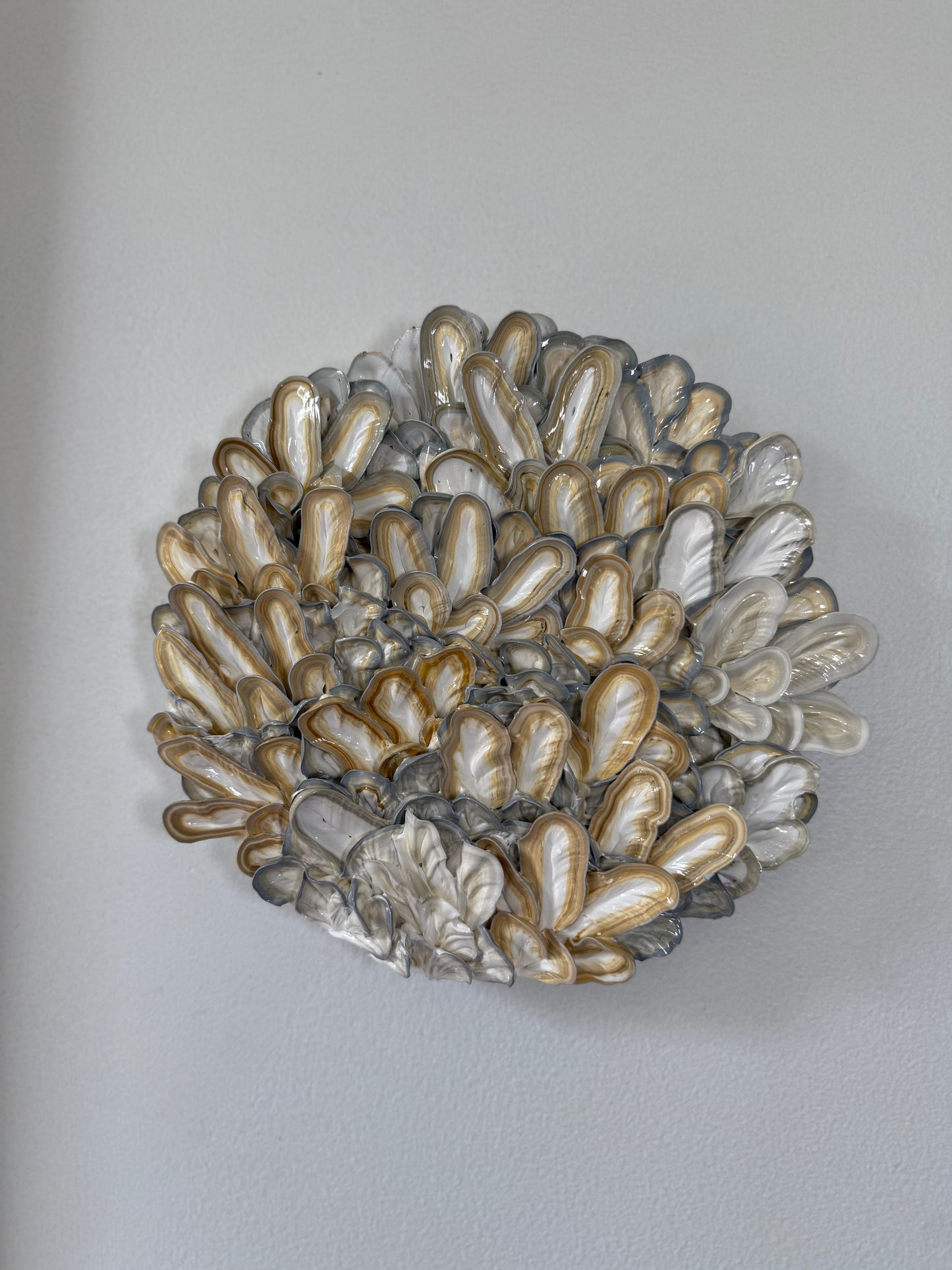 Oyster Bed - 8 inch