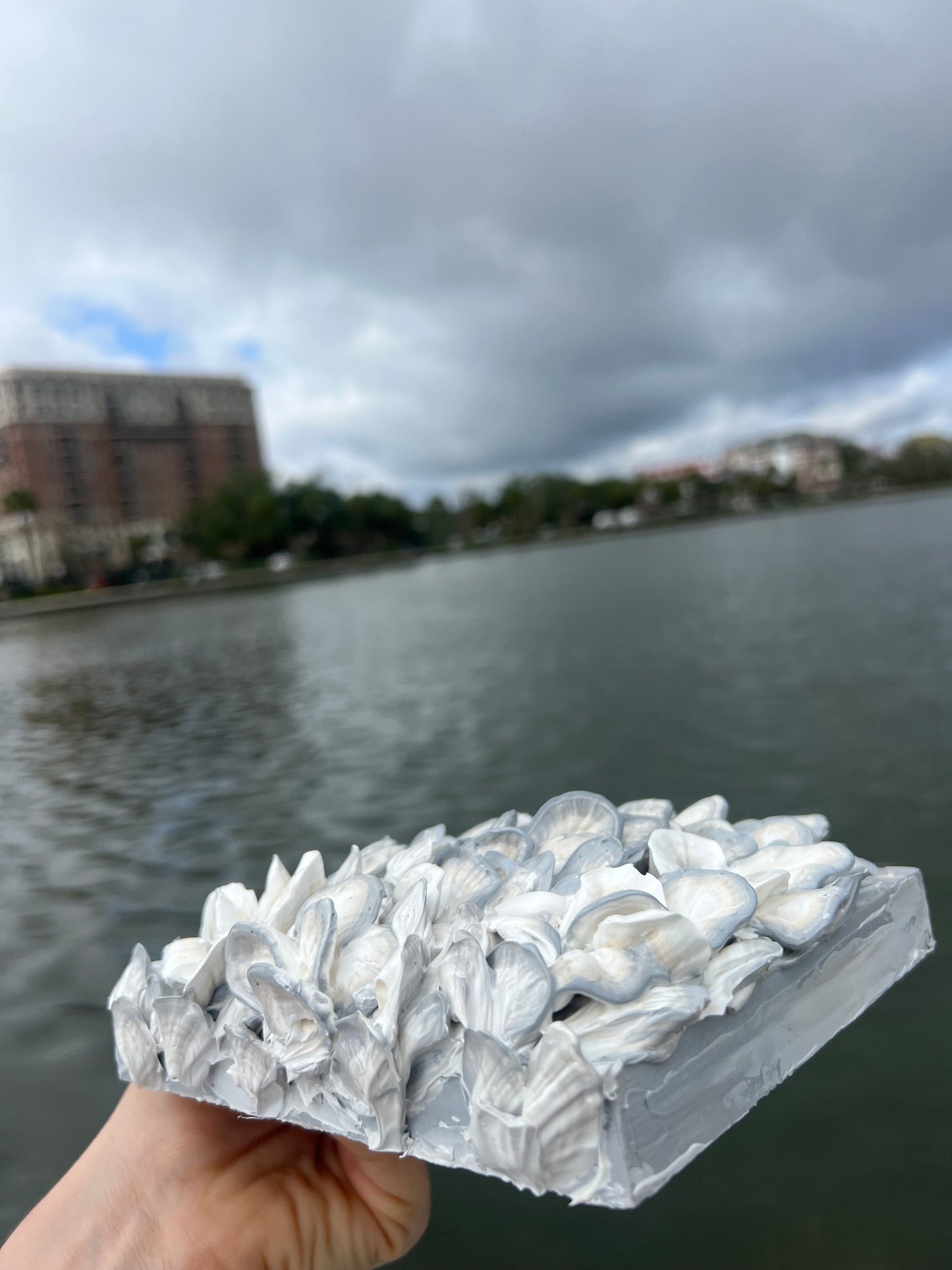 Tidal Textures