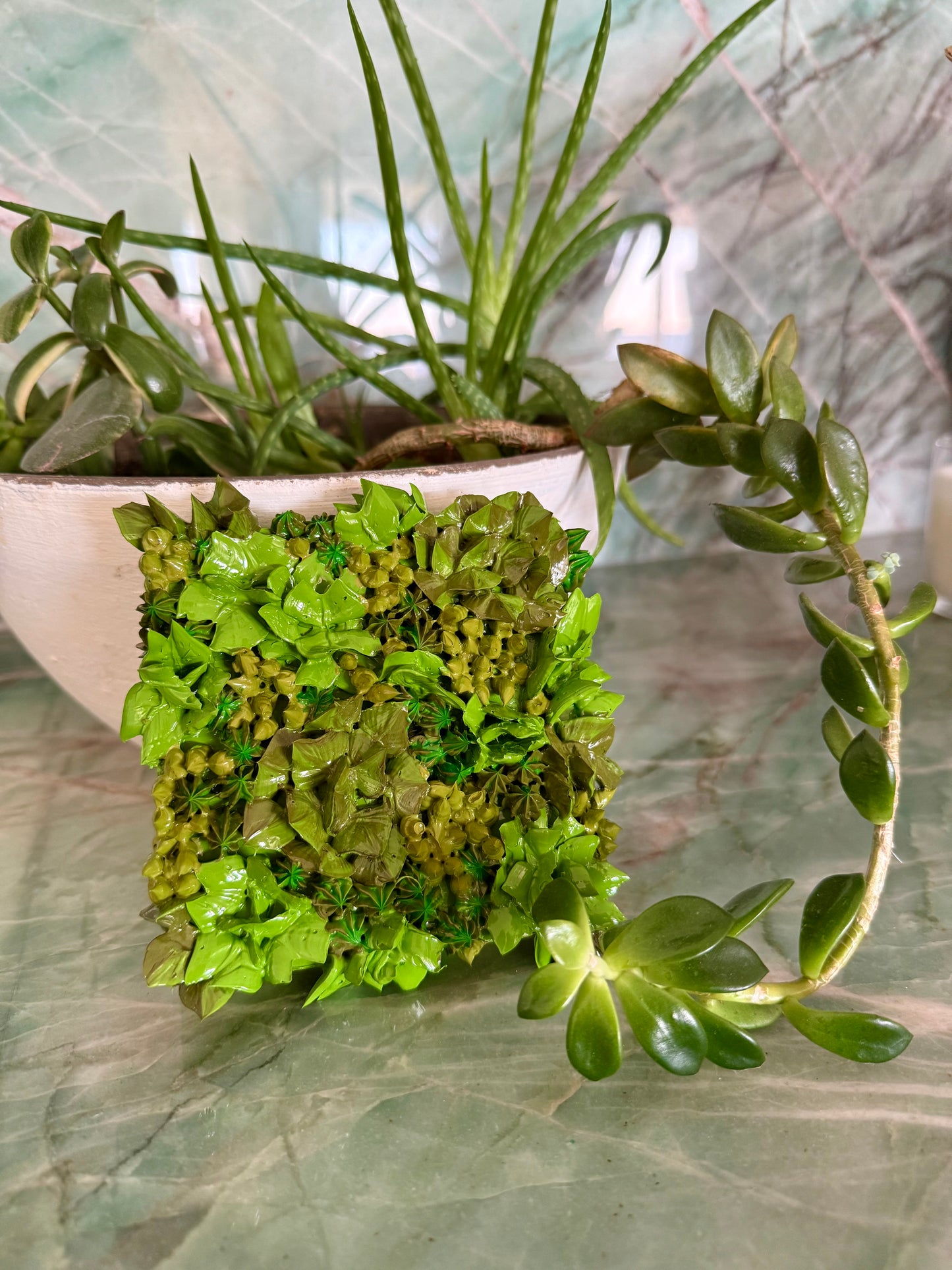 Pocket Forest