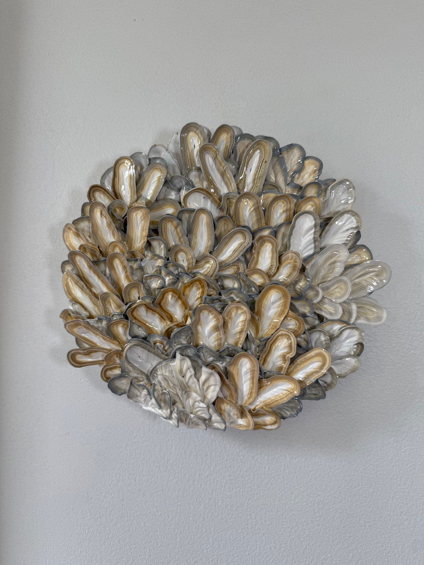 Oyster Bed - 8 inch