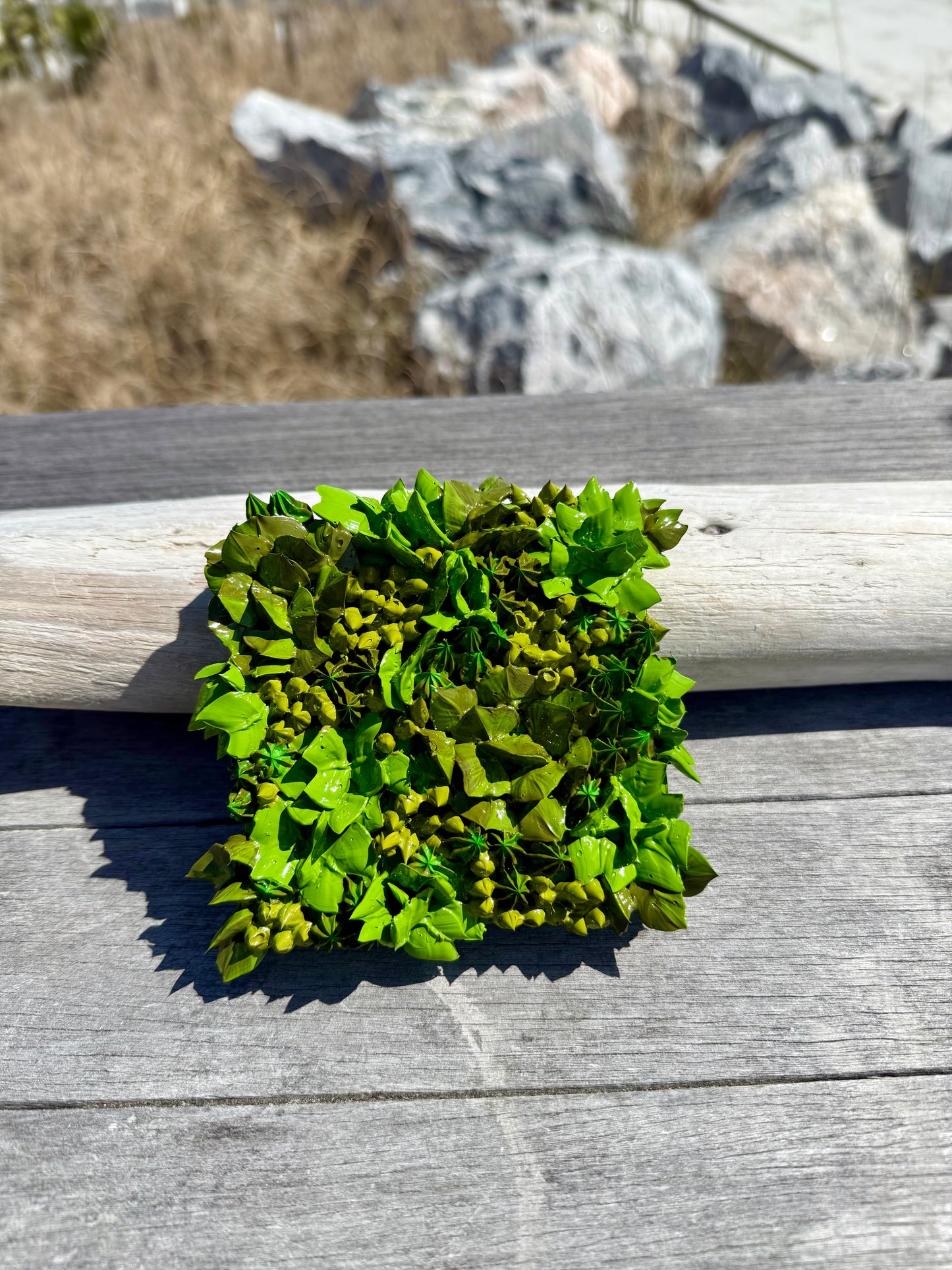 Pocket Forest