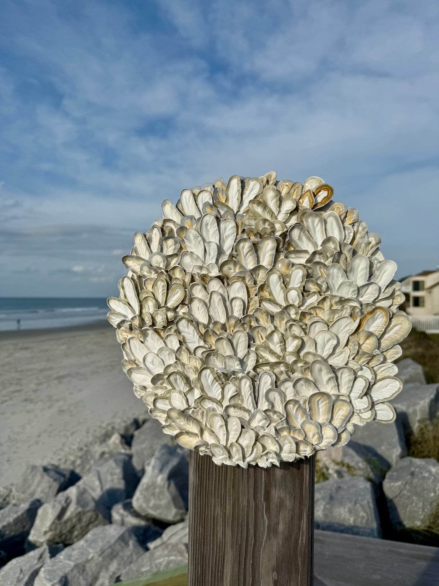 Oyster Bed