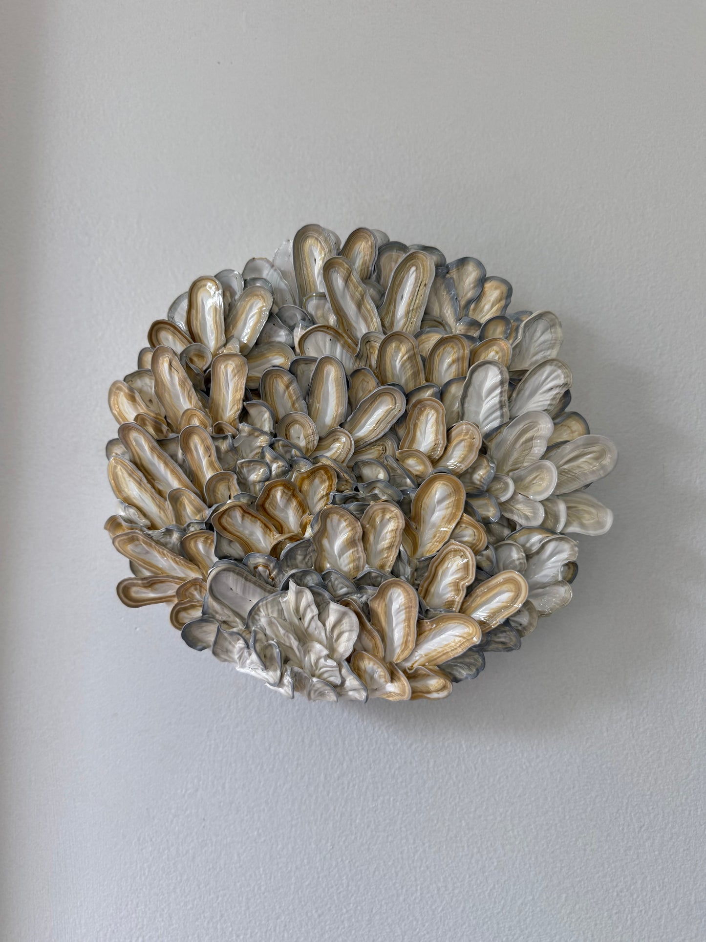 Oyster Bed - 8 inch